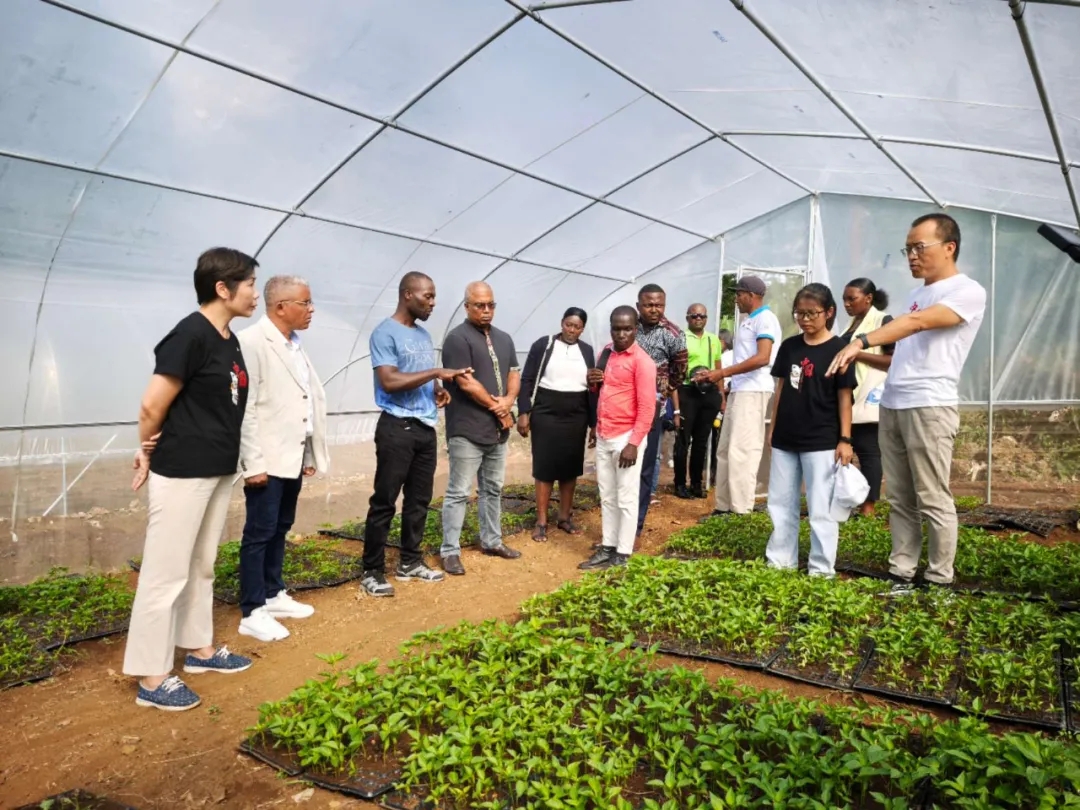 184a2beac9cb999-6 184a2beac9cb999-6