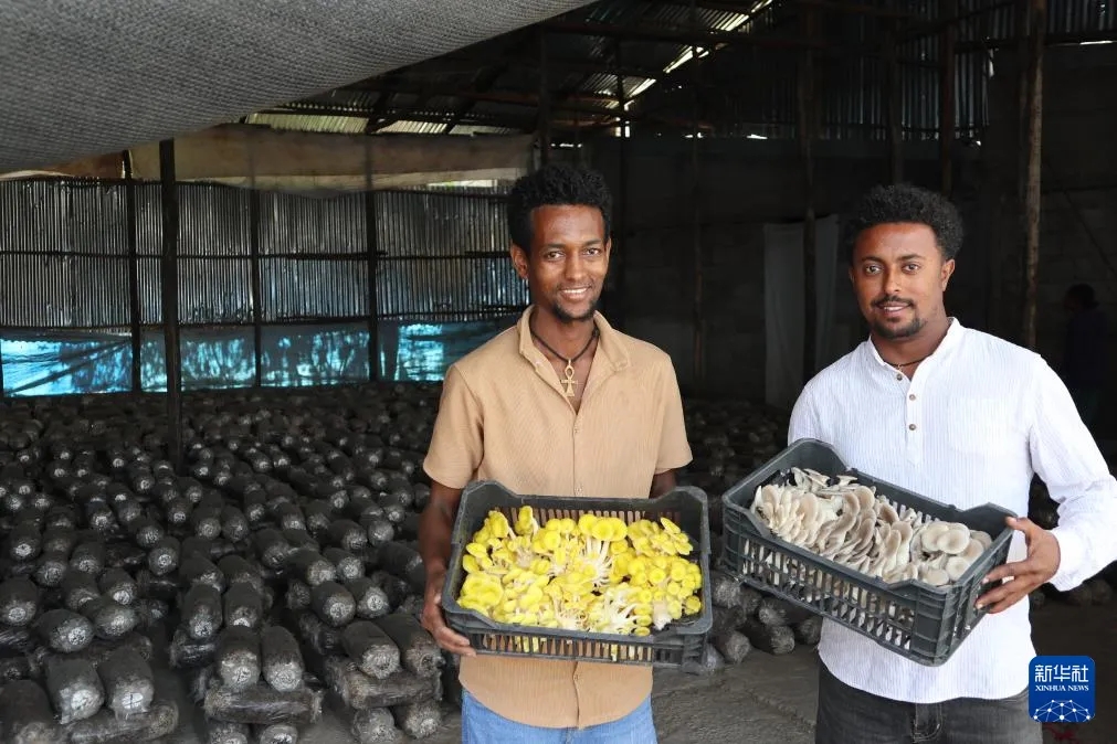 29fba706e981027-3 29fba706e981027-3