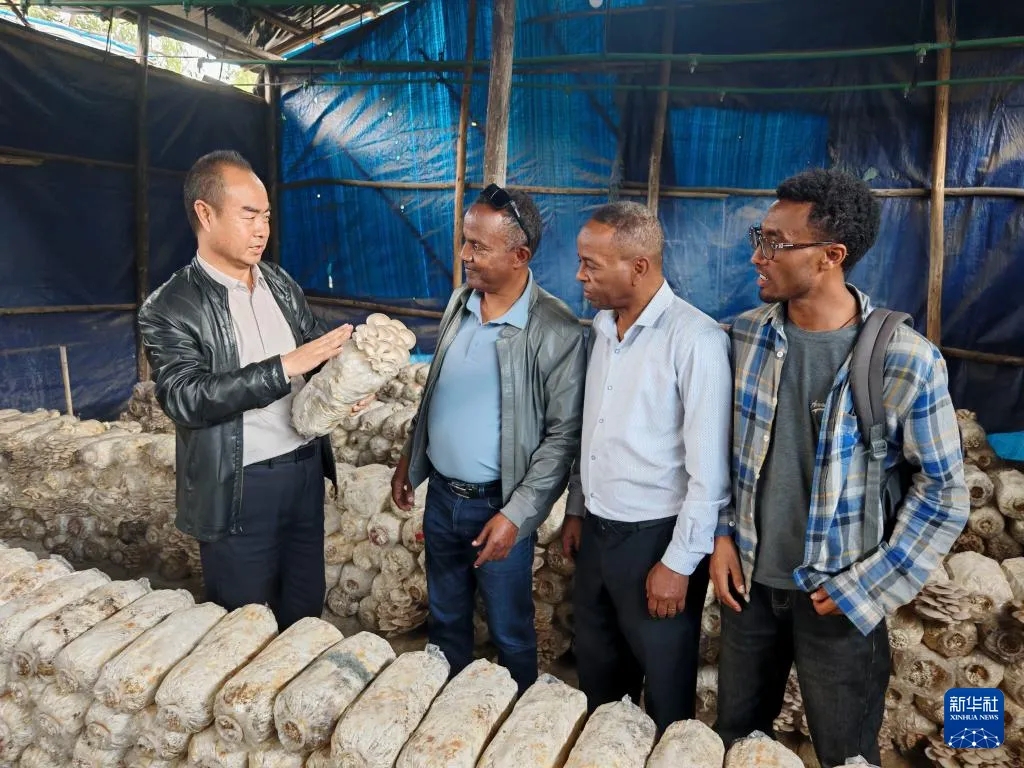 a693b969e87285c-6 a693b969e87285c-6