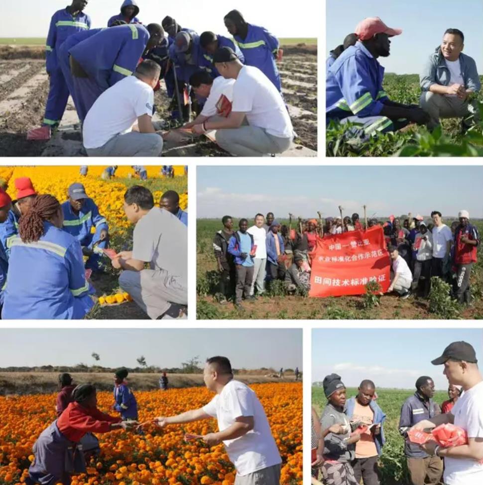 c88c1d865e7d44a-5 c88c1d865e7d44a-5