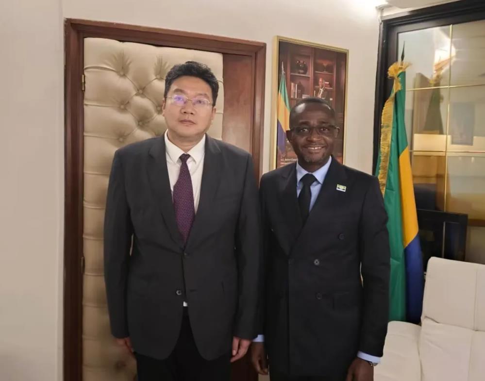 驻加蓬大使会见加石油与天然气部长索斯泰纳·恩圭马-中非友好经贸发展工作委员会