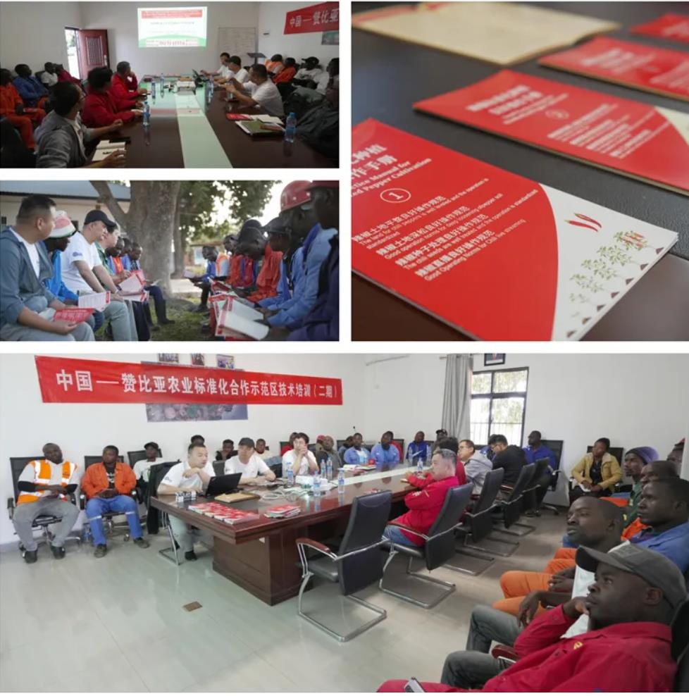 市场监管总局开展中非农业标准化示范区建设 推动标准规则“软联通”-中非友好经贸发展工作委员会