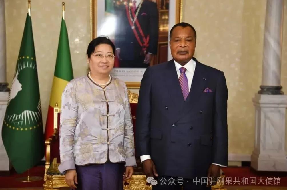 驻刚果（布）大使向刚果（布）总统萨苏递交国书-中非友好经贸发展工作委员会