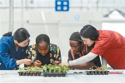 eedec01e92b01f8-4 eedec01e92b01f8-4