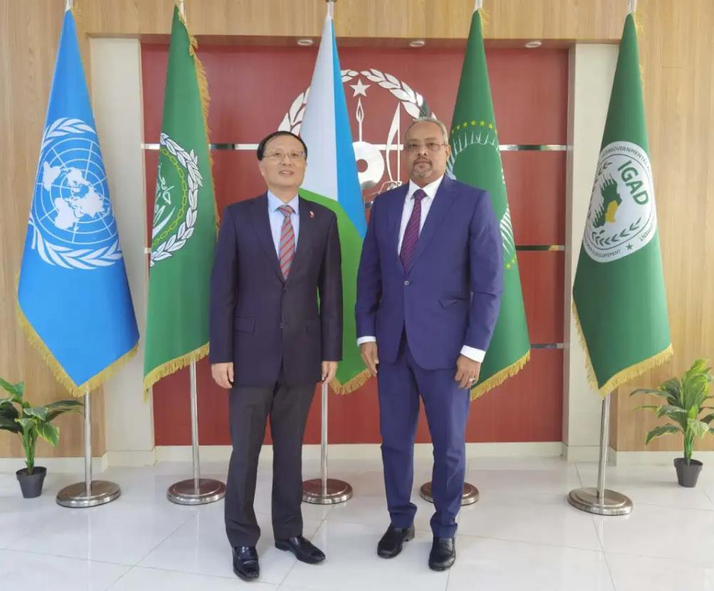 驻吉布提大使会见吉外长奥马尔-中非友好经贸发展工作委员会