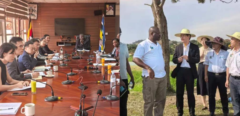 81ae0d89f336bf3 81ae0d89f336bf3