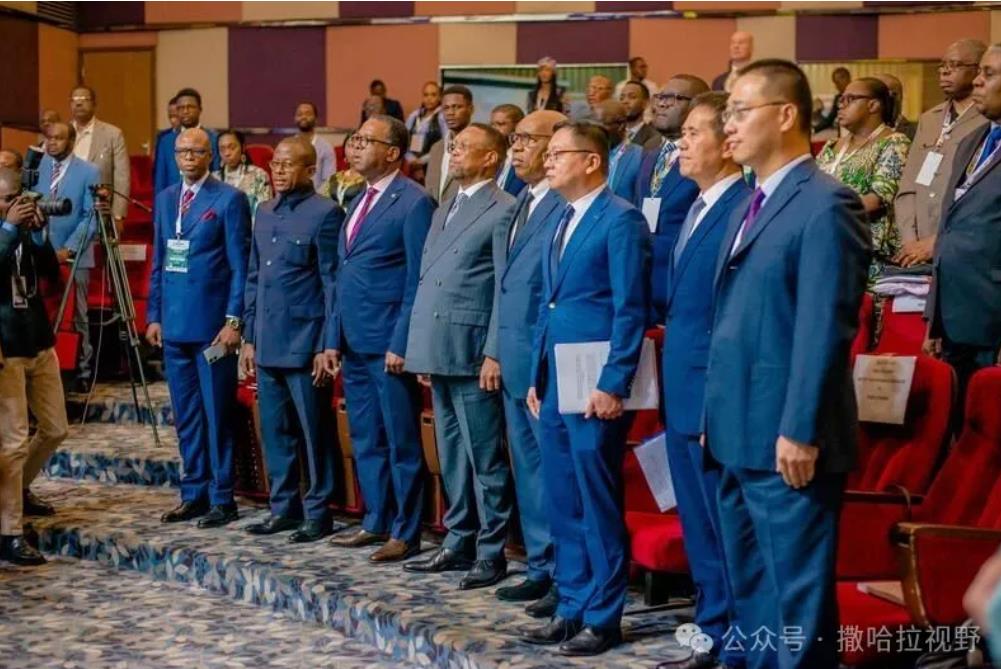 中国-中部非洲国家智库研讨会在刚果（金）举行-中非友好经贸发展工作委员会