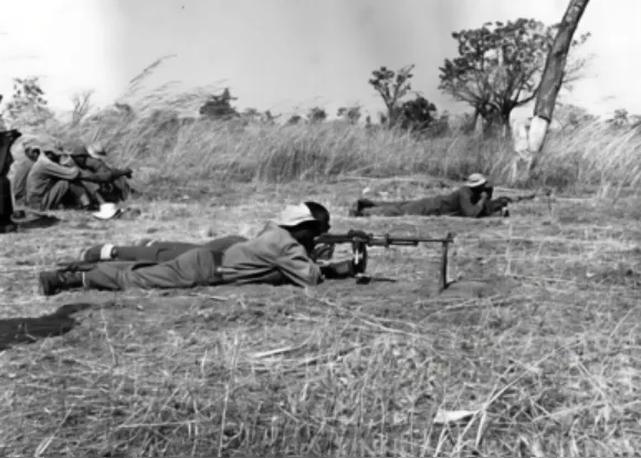 3ec262826fc4223 3ec262826fc4223