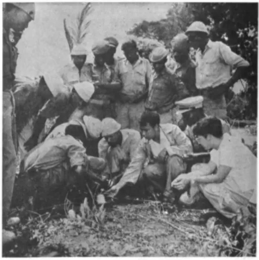 77469a6c0c30f94 77469a6c0c30f94