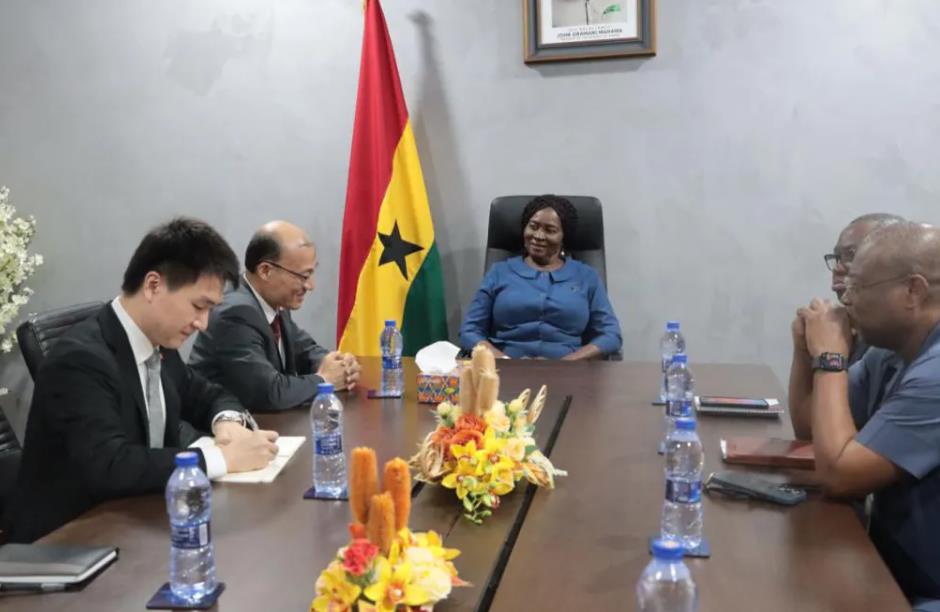 驻加纳大使拜会奥波库-阿杰曼副总统-中非友好经贸发展工作委员会