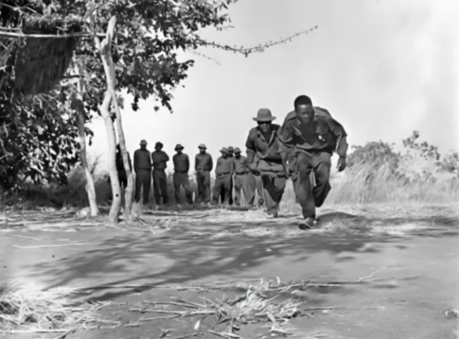 ff12cd19d684767 ff12cd19d684767