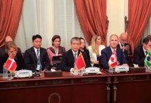 廖力强大使出席落实“两国方案”国际联盟第四次高级别会议-中非友好经贸发展工作委员会