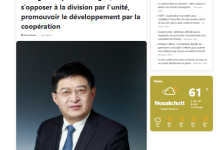 唐中东大使在毛里塔尼亚主流媒体发表署名文章-中非友好经贸发展工作委员会