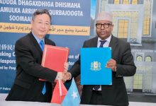 中国驻索马里大使王昱会见索外长菲基-中非友好经贸发展工作委员会