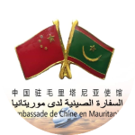 唐中东大使拜会联合国开发计划署驻毛代表恩迪亚耶-中非友好经贸发展工作委员会