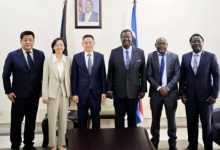 外交部非洲之角事务特使薛冰访问肯尼亚-中非友好经贸发展工作委员会