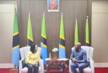 驻坦桑尼亚大使会见坦副外长楚米-中非友好经贸发展工作委员会