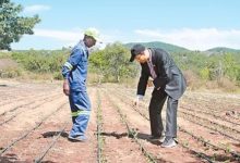 中国经验助力非洲发展-中非友好经贸发展工作委员会