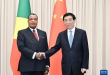 王沪宁会见刚果(布)总统萨苏-中非友好经贸发展工作委员会